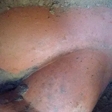 This cracked clay pipe required replacement.